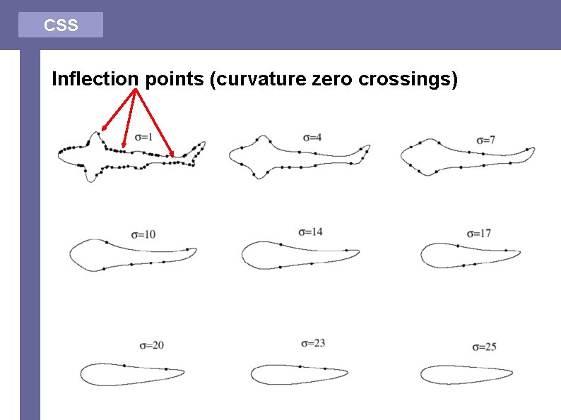 CSS Inflection points (curvature zero crossings) 
