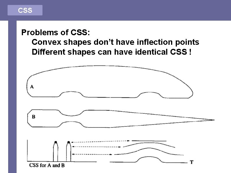 CSS Problems of CSS: • Convex shapes don’t have inflection points • Different shapes