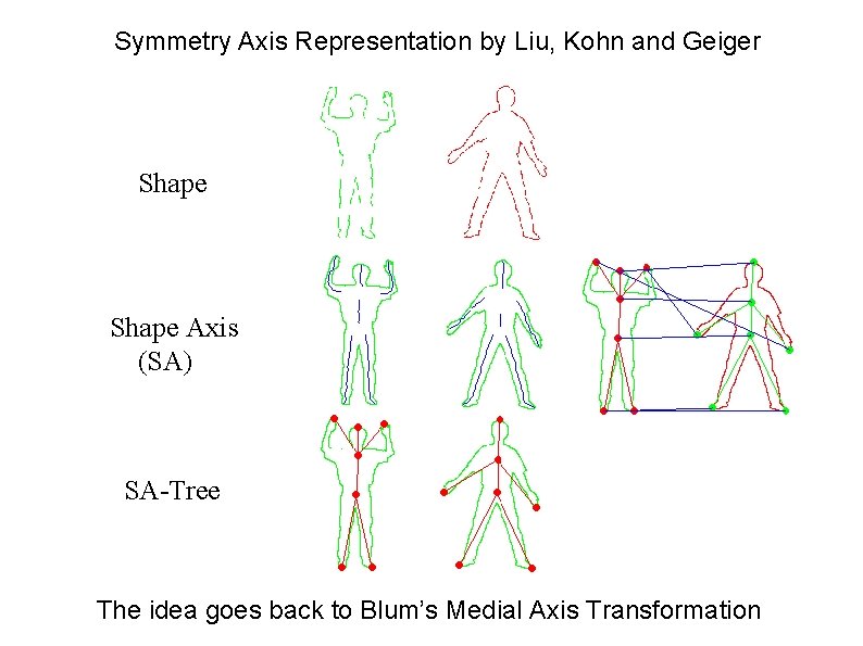 Symmetry Axis Representation by Liu, Kohn and Geiger Shape Axis (SA) SA-Tree The idea