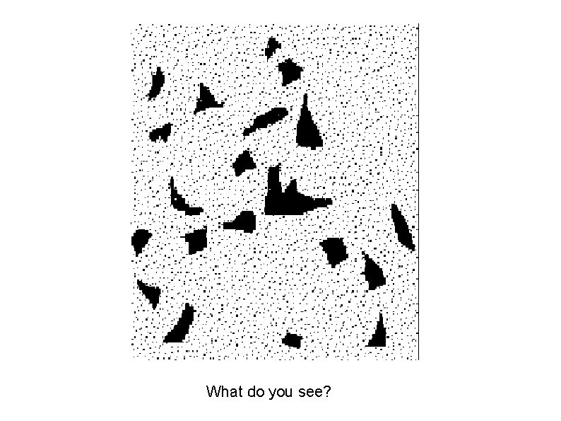 What do you see? 
