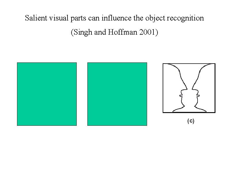 Salient visual parts can influence the object recognition (Singh and Hoffman 2001) 
