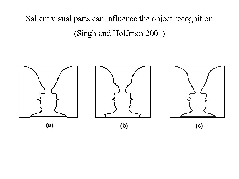 Salient visual parts can influence the object recognition (Singh and Hoffman 2001) 