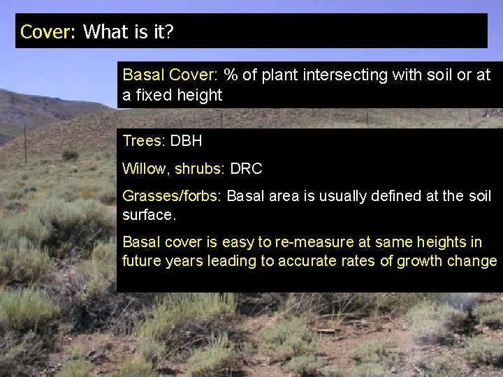 How would you measure shrub cover here Message