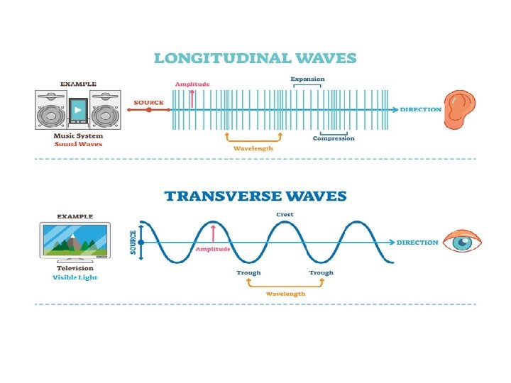 Transverse and Longitudinal Waves Compare properties of longitudinal and waves. January 2022 Compression, Rarefaction,