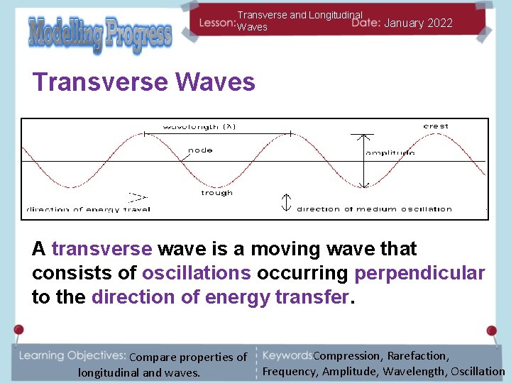 Transverse and Longitudinal Waves January 2022 Transverse Waves A transverse wave is a moving