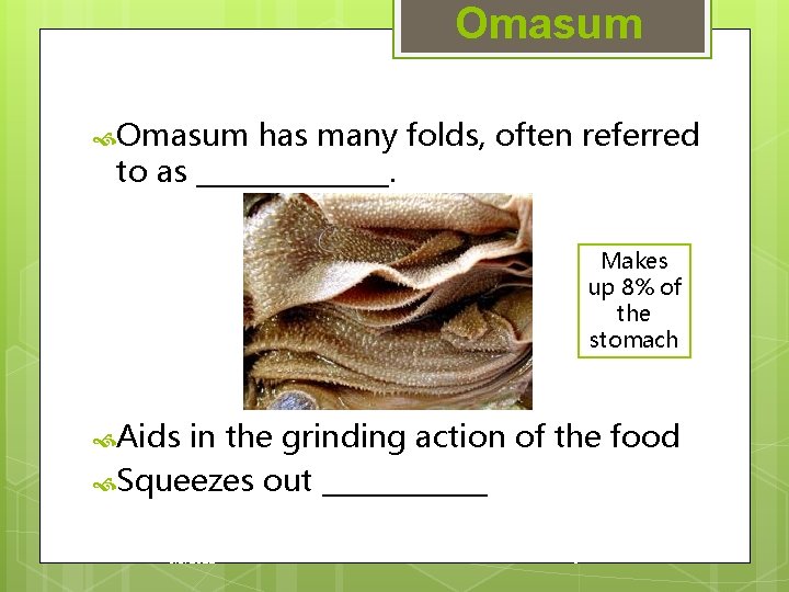 Omasum has many folds, often referred to as _______. Makes up 8% of the
