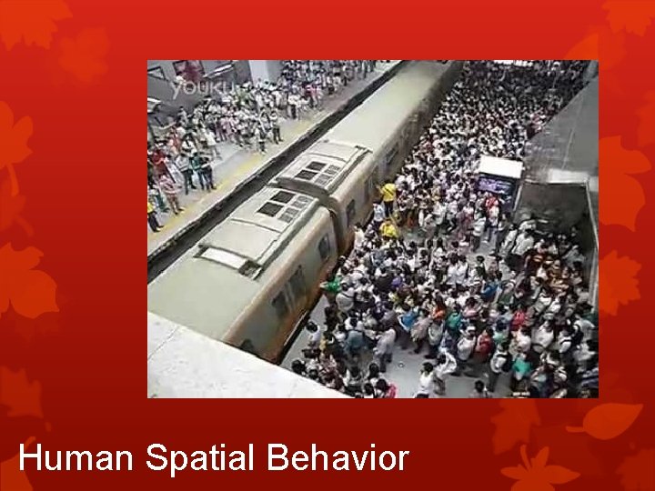 Human Spatial Behavior 