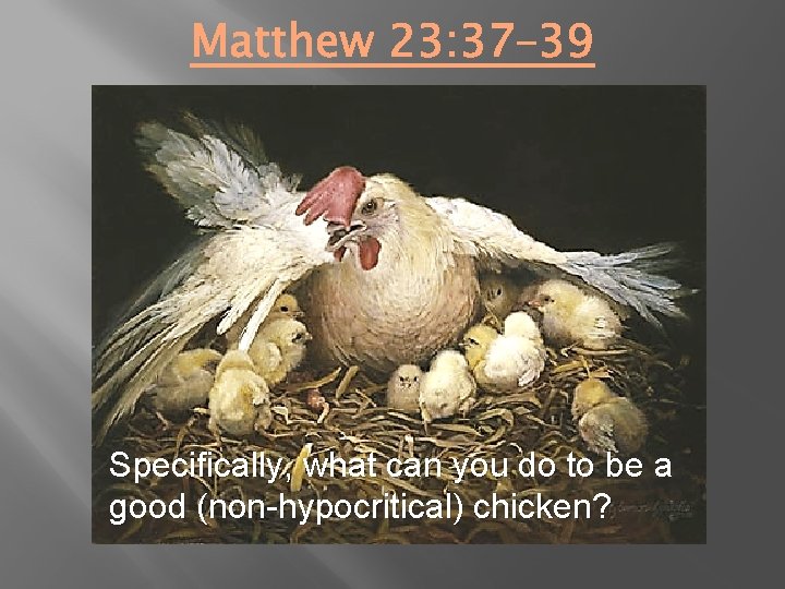 Specifically, what can you do to be a good (non-hypocritical) chicken? 