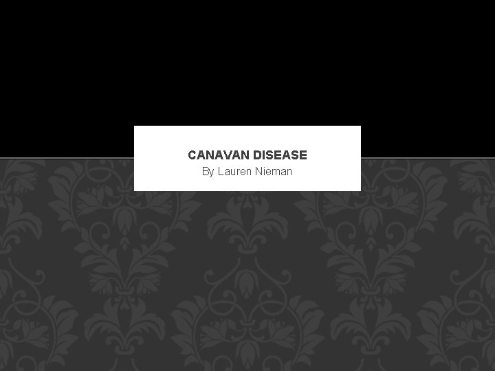 CANAVAN DISEASE By Lauren Nieman 
