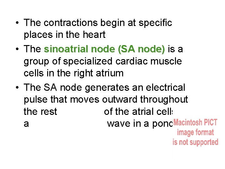  • The contractions begin at specific places in the heart • The sinoatrial