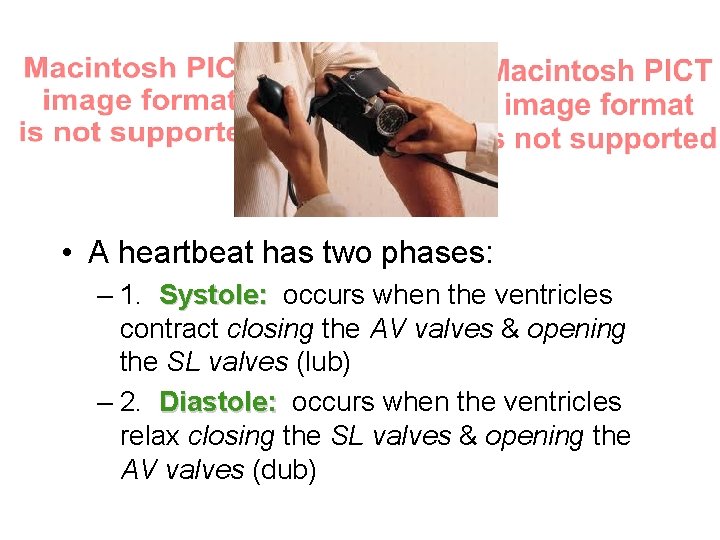  • A heartbeat has two phases: – 1. Systole: occurs when the ventricles