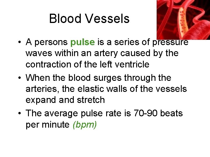 Blood Vessels • A persons pulse is a series of pressure waves within an