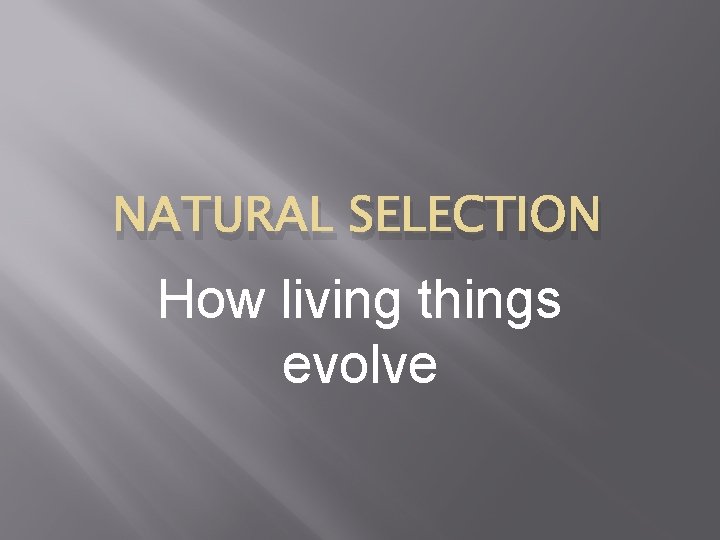 NATURAL SELECTION How living things evolve 