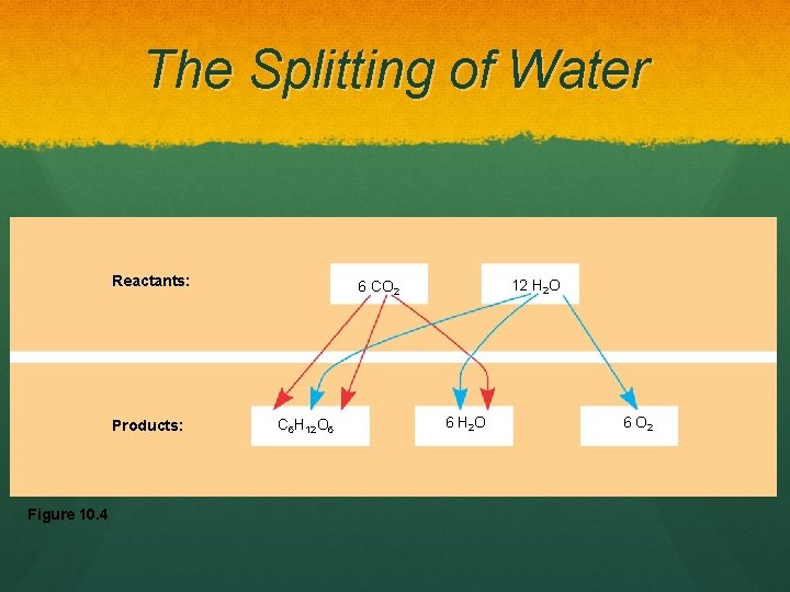 The Splitting of Water Reactants: Products: Figure 10. 4 12 H 2 O 6