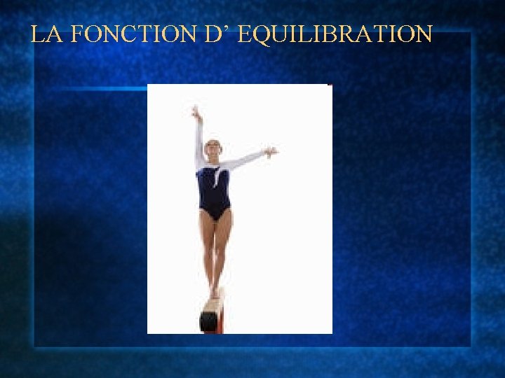 LA FONCTION D’ EQUILIBRATION 