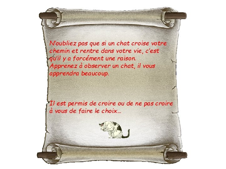 N’oubliez pas que si un chat croise votre chemin et rentre dans votre vie,