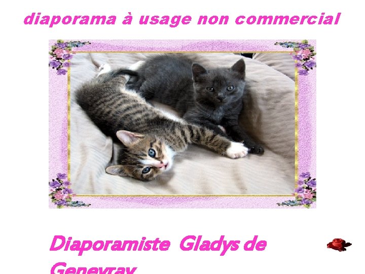 diaporama à usage non commercial Diaporamiste Gladys de 