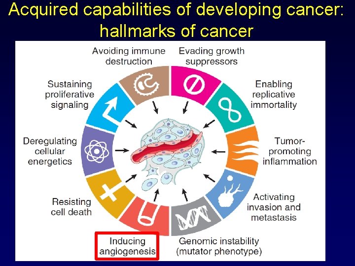 Acquired capabilities of developing cancer: hallmarks of cancer 