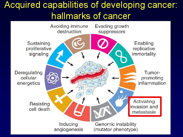 Acquired capabilities of developing cancer: hallmarks of cancer 