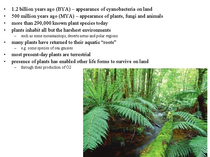  • • 1. 2 billion years ago (BYA) – appearance of cyanobacteria on