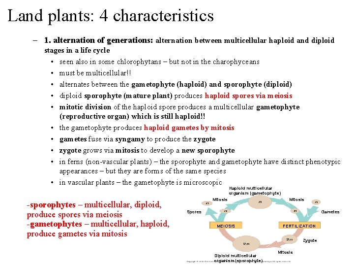 Land plants: 4 characteristics – 1. alternation of generations: alternation between multicellular haploid and