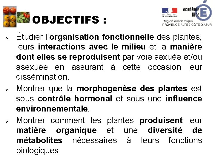 OBJECTIFS : Ø Ø Ø Étudier l’organisation fonctionnelle des plantes, leurs interactions avec le