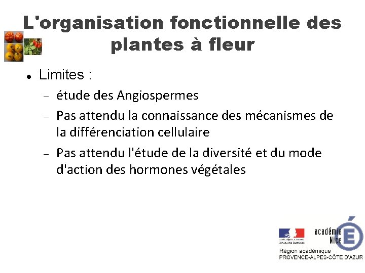 L'organisation fonctionnelle des plantes à fleur Limites : étude des Angiospermes Pas attendu la