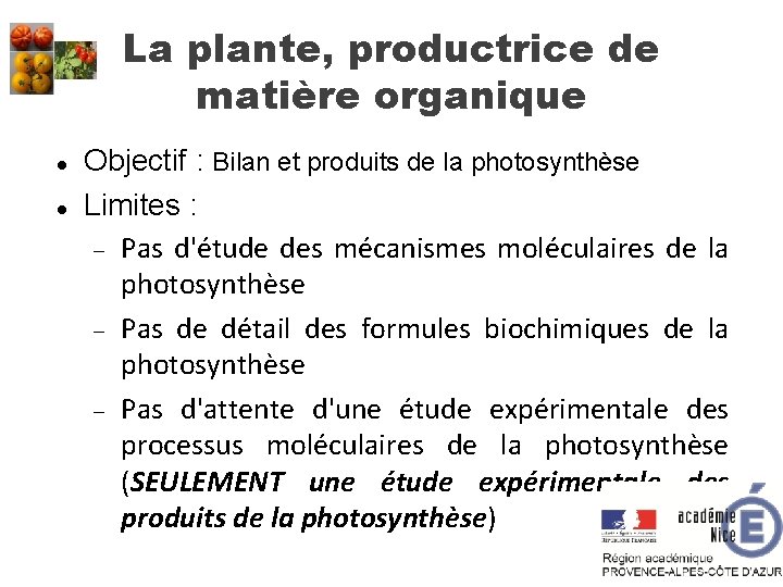 La plante, productrice de matière organique Objectif : Bilan et produits de la photosynthèse