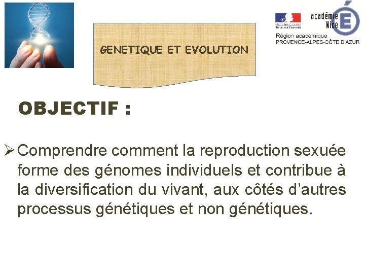 GENETIQUE ET EVOLUTION OBJECTIF : Ø Comprendre comment la reproduction sexuée forme des génomes