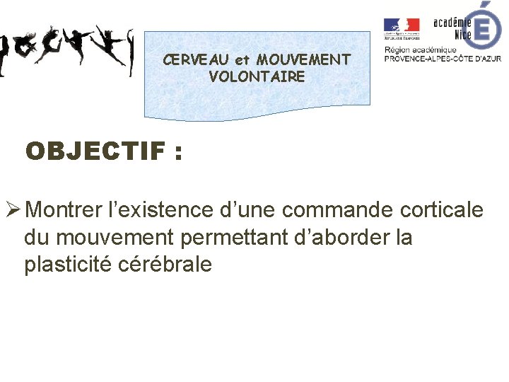 CERVEAU et MOUVEMENT VOLONTAIRE OBJECTIF : Ø Montrer l’existence d’une commande corticale du mouvement