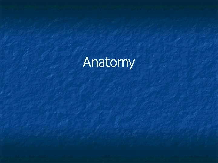 Anatomy 