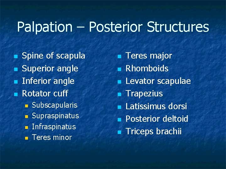 Palpation – Posterior Structures n n Spine of scapula Superior angle Inferior angle Rotator