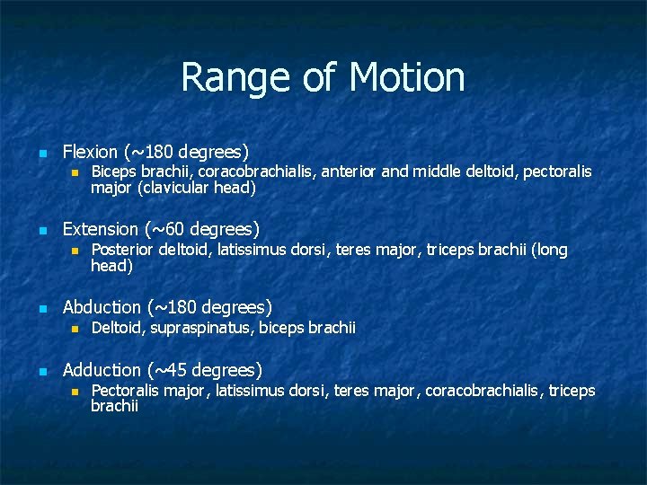 Range of Motion n Flexion (~180 degrees) n n Extension (~60 degrees) n n