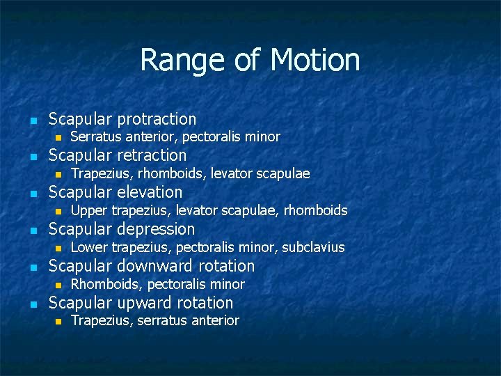 Range of Motion n Scapular protraction n n Scapular retraction n n Lower trapezius,