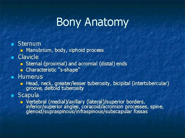 Bony Anatomy n Sternum n n Clavicle n n n Sternal (proximal) and acromial