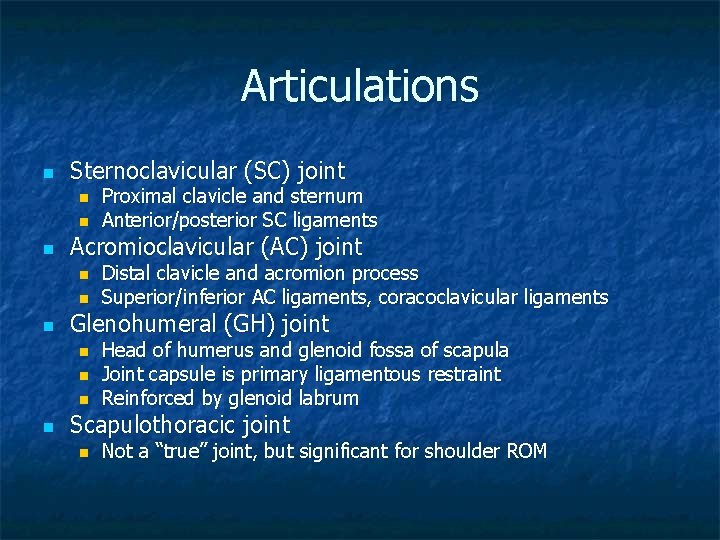 Articulations n Sternoclavicular (SC) joint n n n Acromioclavicular (AC) joint n n n