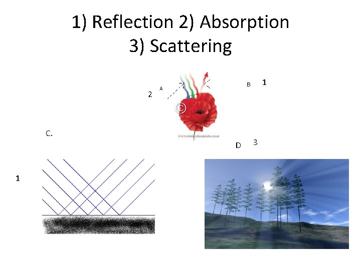 1) Reflection 2) Absorption 3) Scattering 1 2 C. D 1 3 