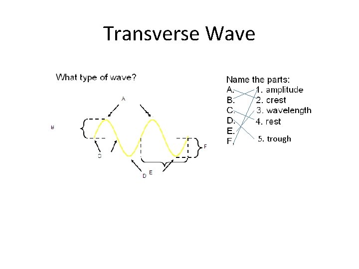 Transverse Wave 5. trough 