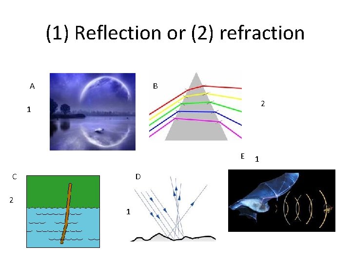 (1) Reflection or (2) refraction A B 2 1 E C D 2 1