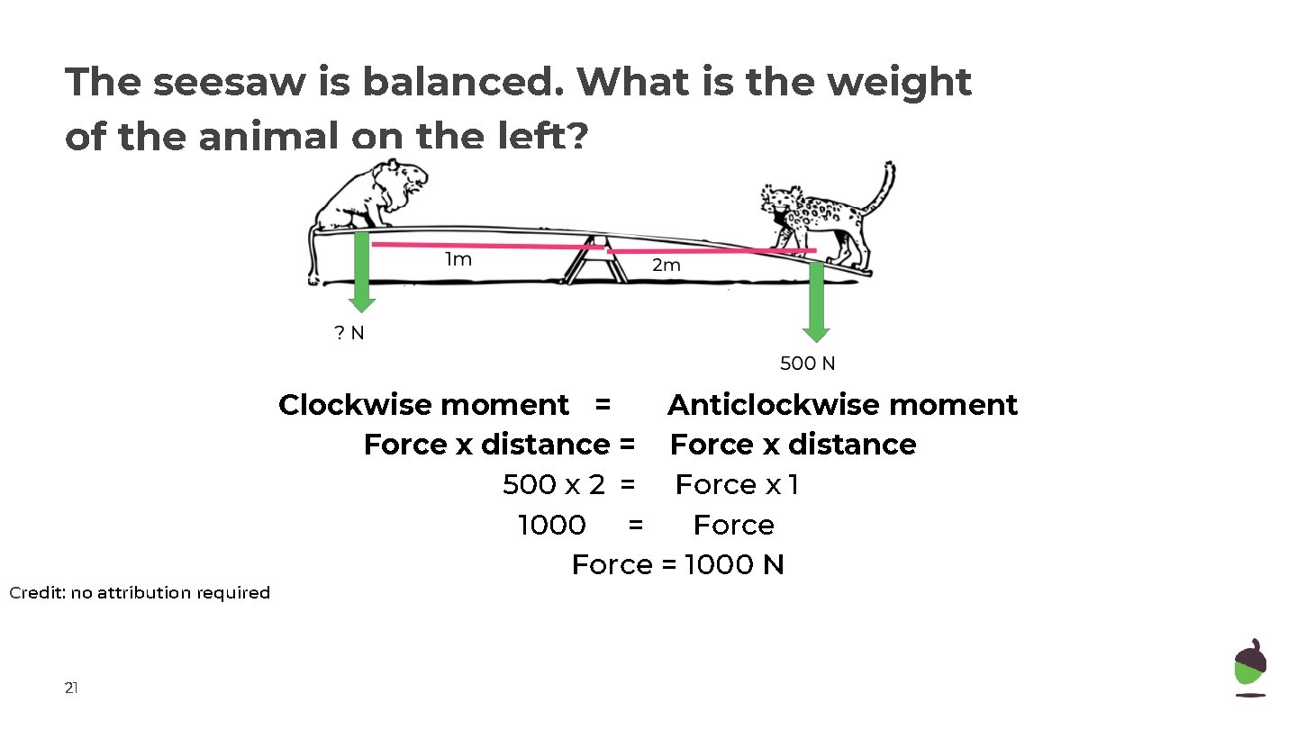 The seesaw is balanced. What is the weight of the animal on the left?