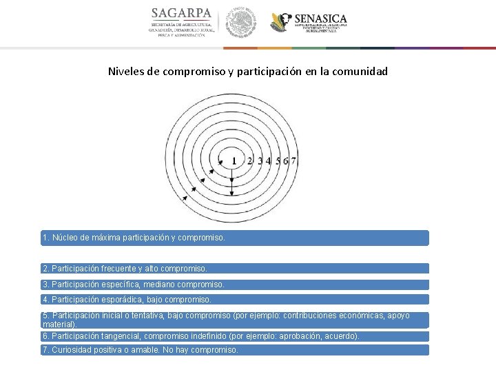 Niveles de compromiso y participación en la comunidad 1. Núcleo de máxima participación y