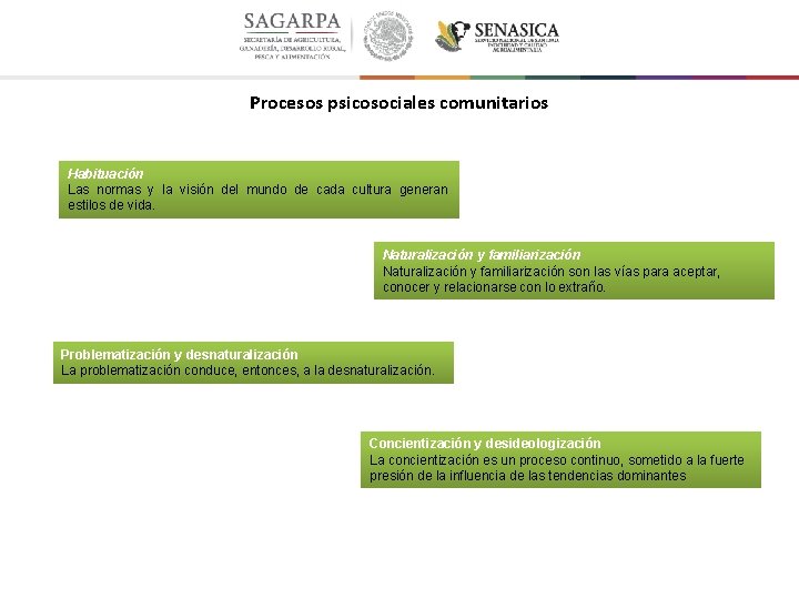 Procesos psicosociales comunitarios Habituación Las normas y la visión del mundo de cada cultura