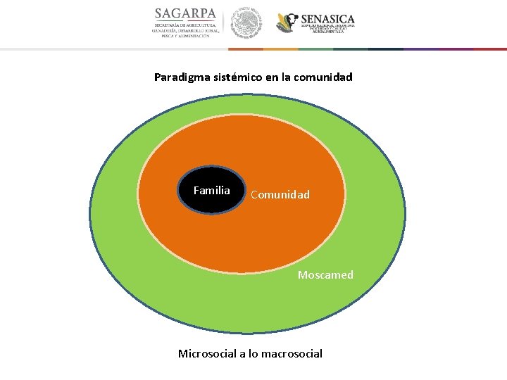 Paradigma sistémico en la comunidad Familia Comunidad Moscamed Microsocial a lo macrosocial 