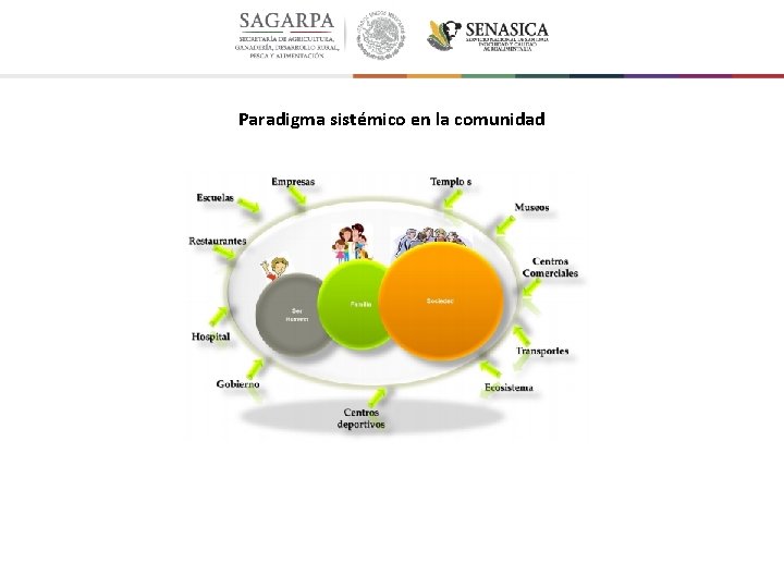 Paradigma sistémico en la comunidad 