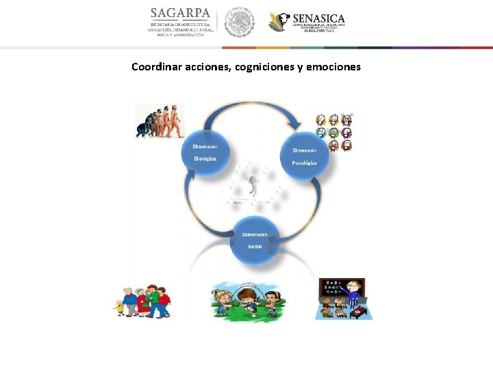 Coordinar acciones, cogniciones y emociones 