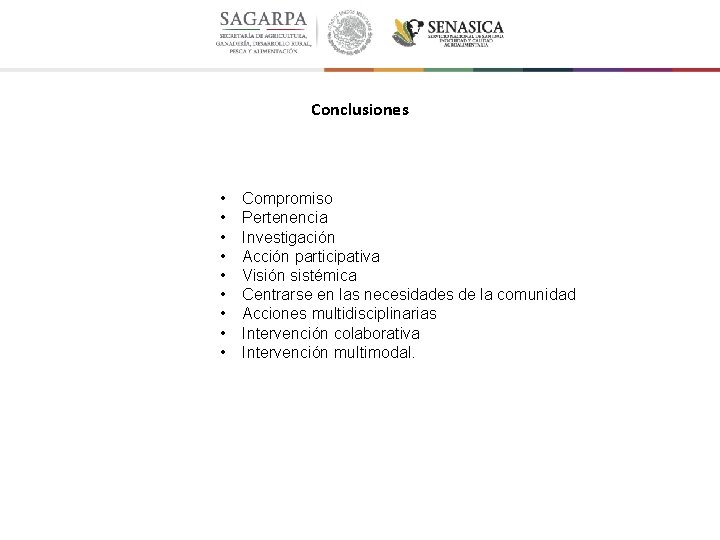 Conclusiones • • • Compromiso Pertenencia Investigación Acción participativa Visión sistémica Centrarse en las