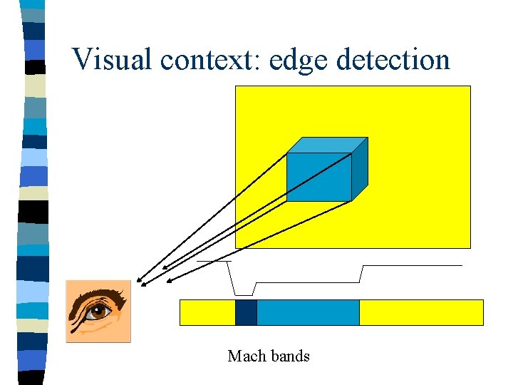 Visual context: edge detection Mach bands 