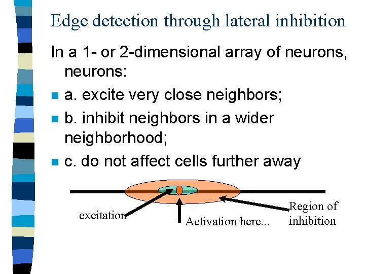 Edge detection through lateral inhibition In a 1 - or 2 -dimensional array of