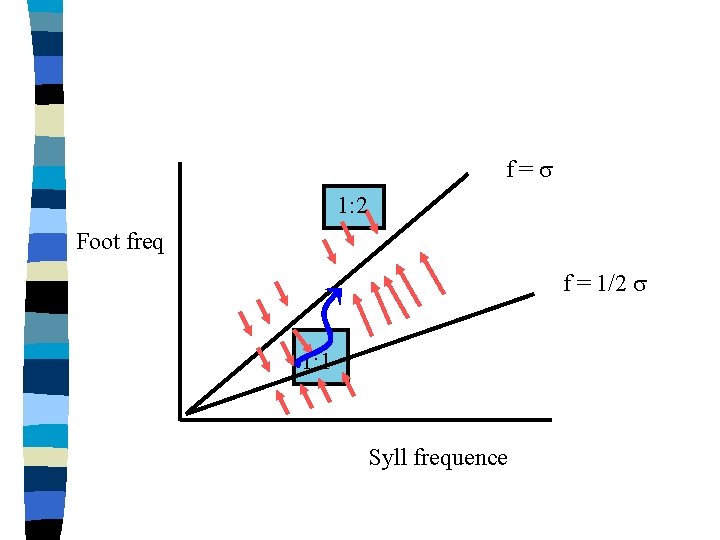 f=s 1: 2 Foot freq f = 1/2 s 1: 1 Syll frequence 