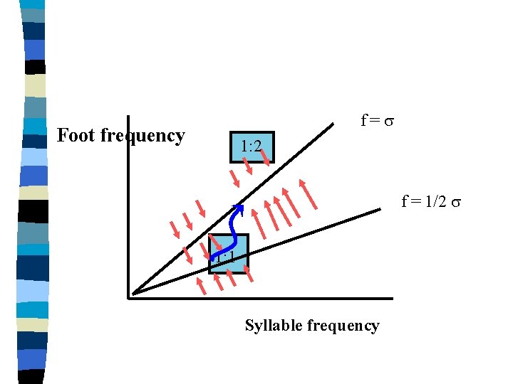 f=s Foot frequency 1: 2 f = 1/2 s 1: 1 Syllable frequency 